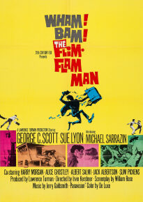 دانلود movie The Flim-Flam Man 1967