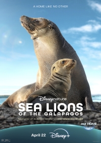دانلود movie Sea Lions of the Galapagos 2025