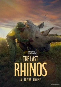 دانلود movie The Last Rhinos: A New Hope 2025
